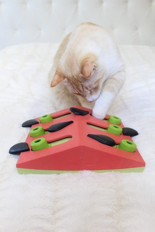 NINA OTTOSSON CAT PUZZLE &amp; PLAY MELON MADNESS.jpg