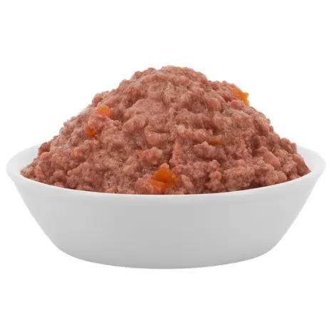 dla kociąt