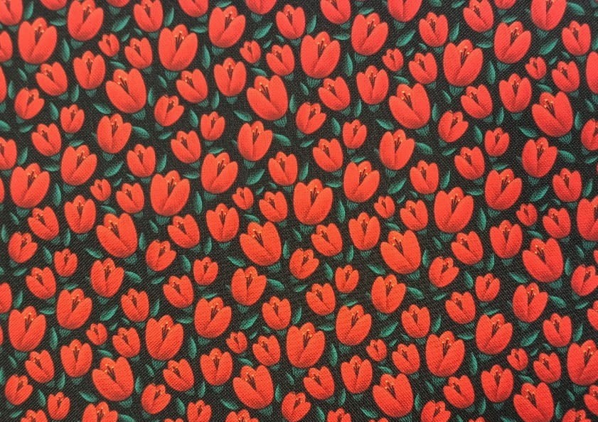 tulipany.jpg