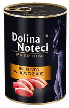 Dolina Noteci dla kota kaczka.jpg