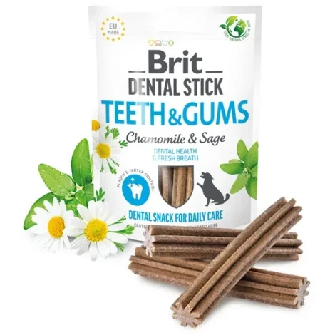 brit dental stick teeth.webp