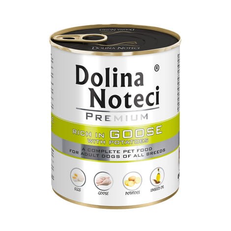 dolina noteci gęś.jpg