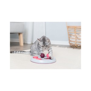 cat-activity-flip-board-gra.jpg