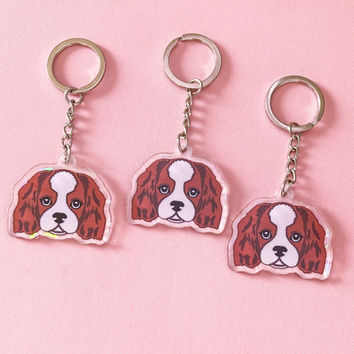 Cavalier king charles spaniel tricolor.png