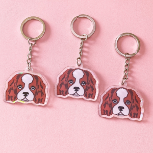 Cavalier king charles spaniel tricolor.png