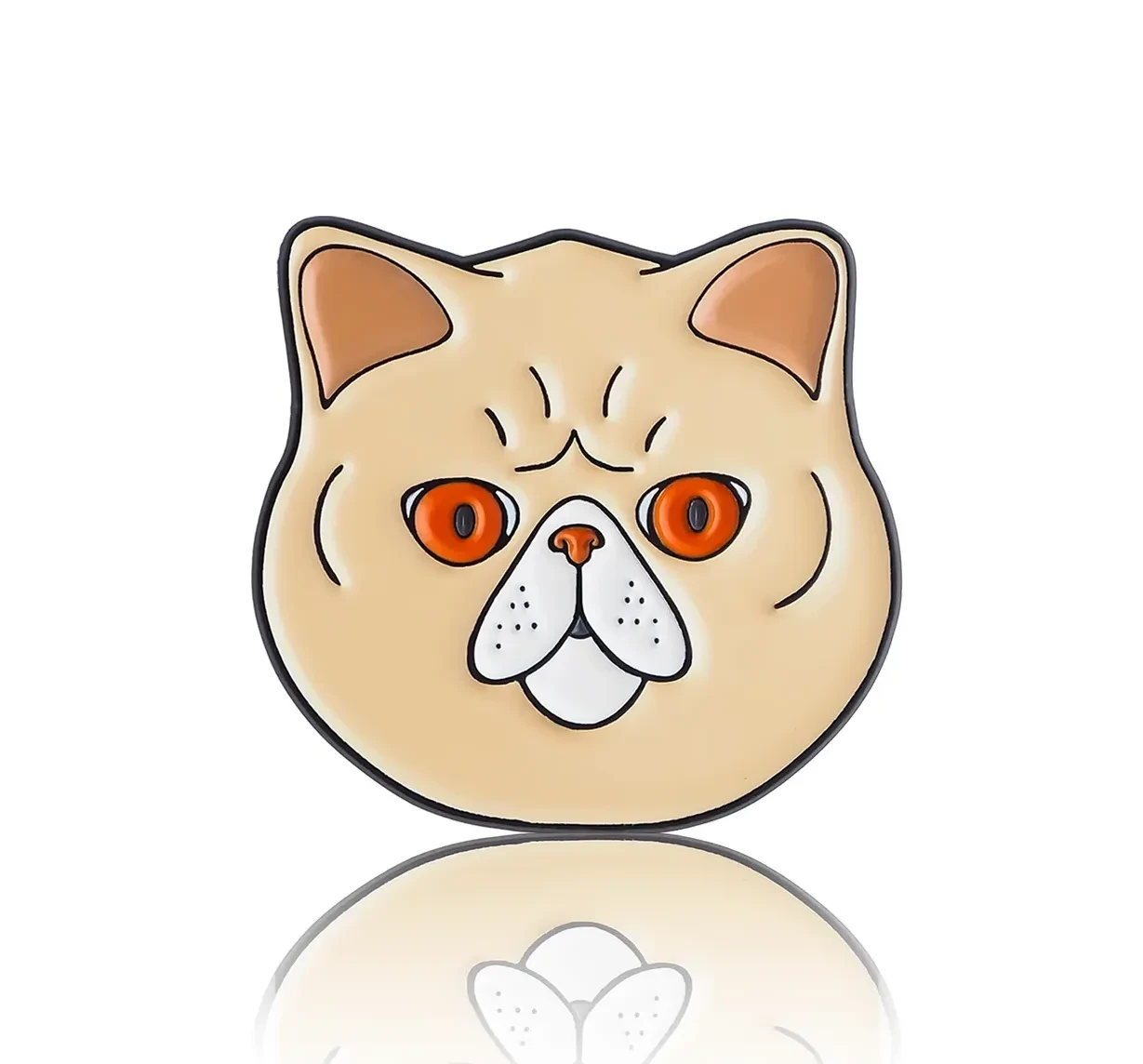 pin Kot brytyjski krótkowłosy.webp