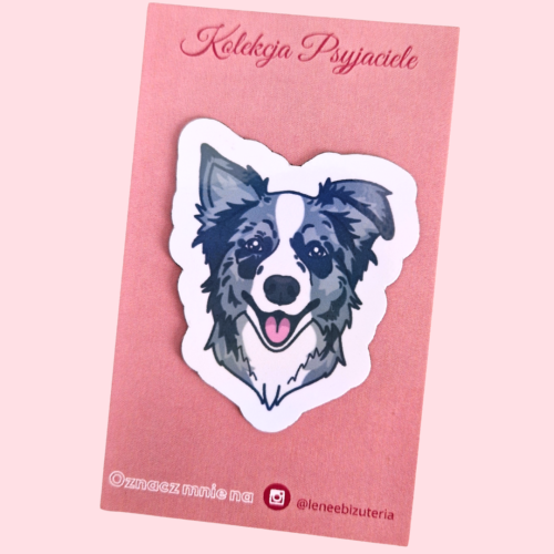 magnes border collie merle.png