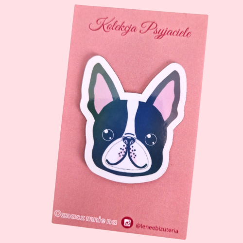 magnes boston terrier.png