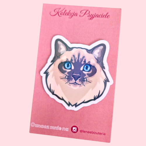 magnes Ragdoll długowłosy.png