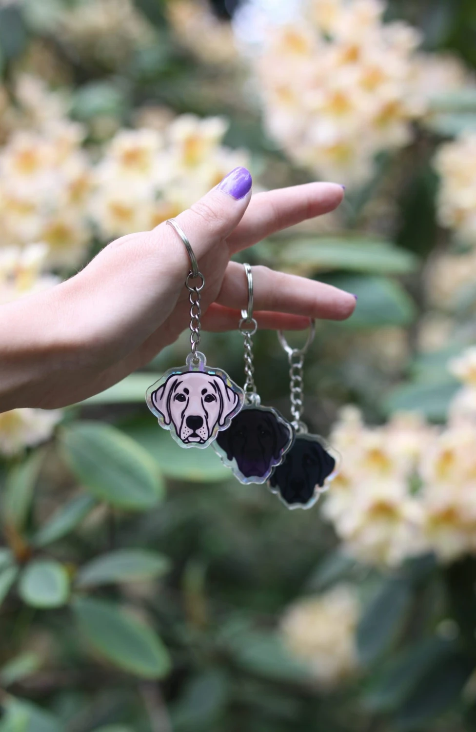 IMG_4616.jpg