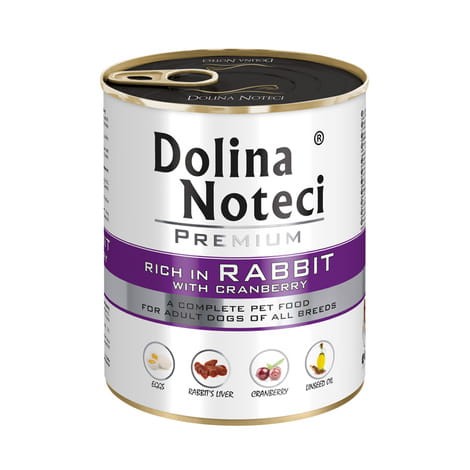 dolina noteci królik.jpg