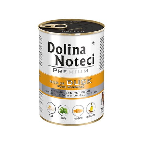 dolina noteci kaczka.jpg