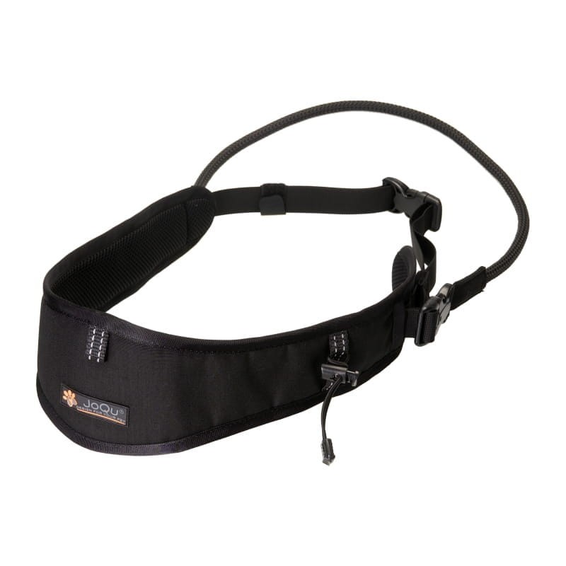 dogtrekking pas.webp