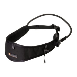 dogtrekking pas.webp