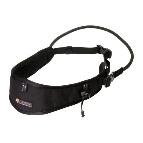 dogtrekking pas.webp