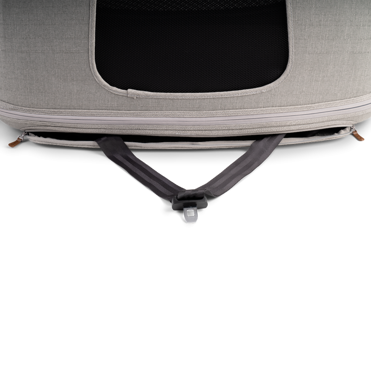 transporter do auta tavo.png