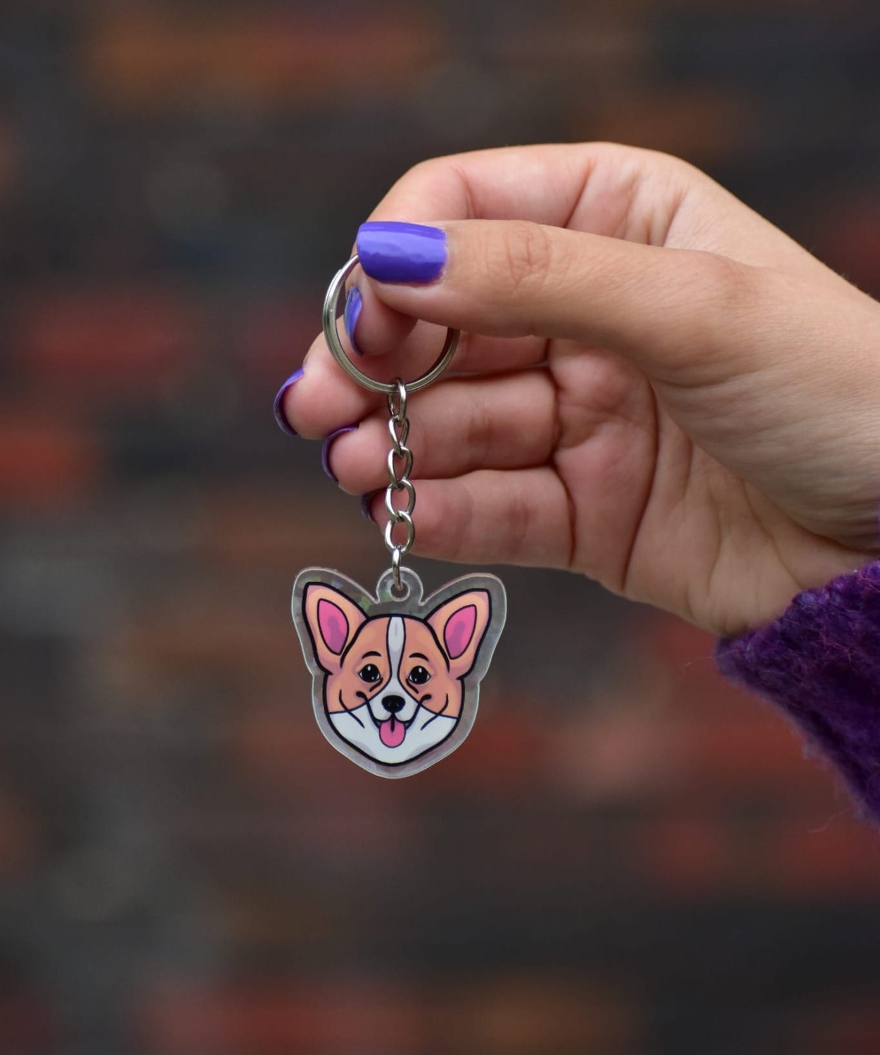 corgi