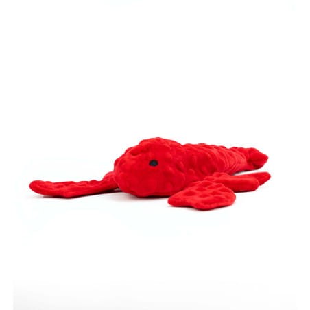 zabawka dla psa bez piszczenia.jpg