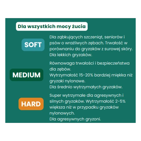 betterbone kość z celulozy.jpg