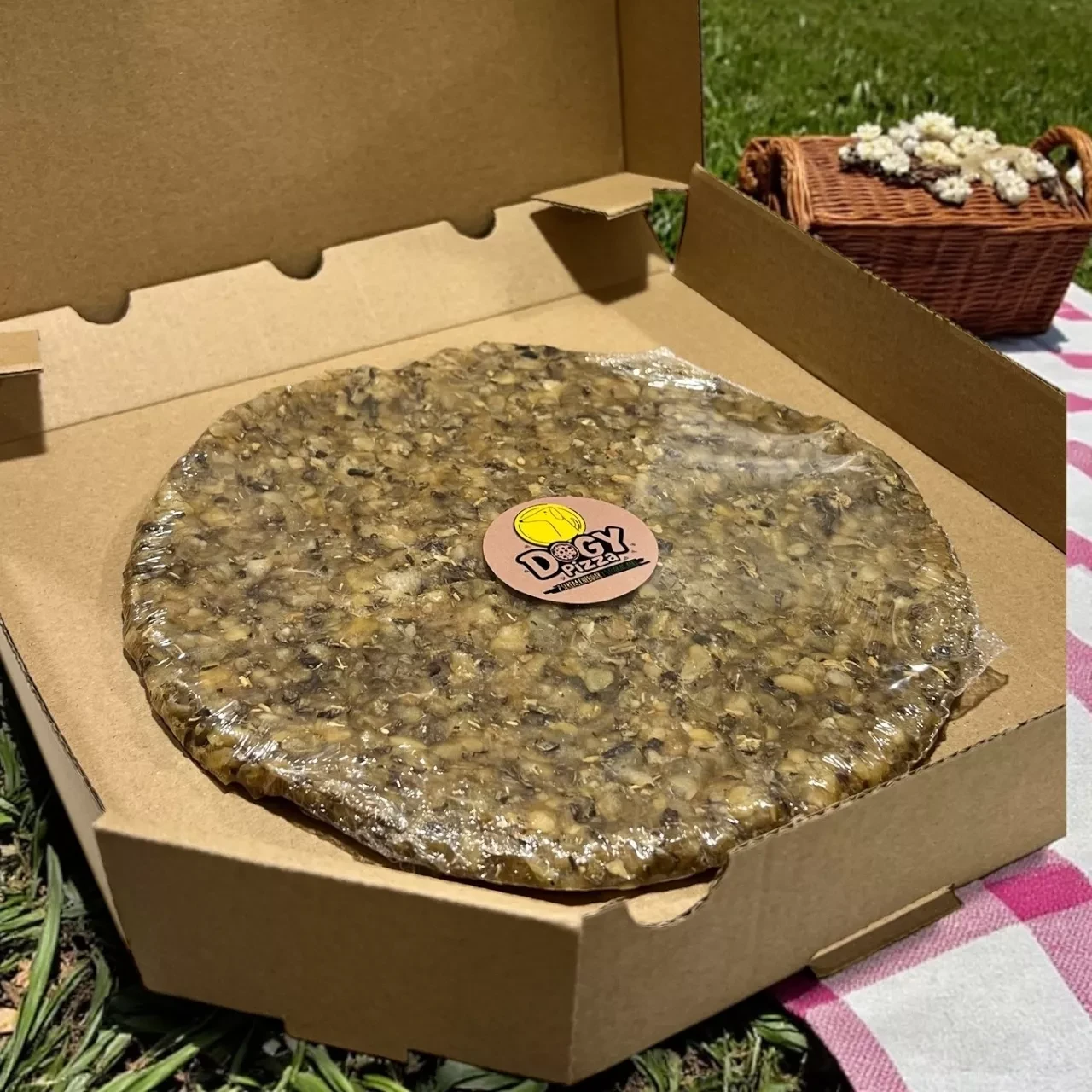 dogy pizza cheddar i szparagi.webp
