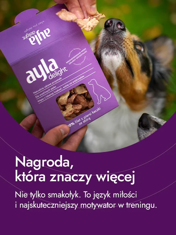 filet z kaczki.webp