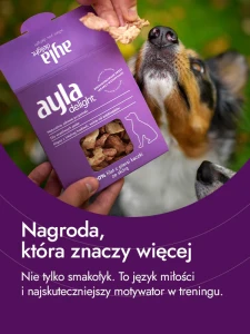 filet z kaczki.webp