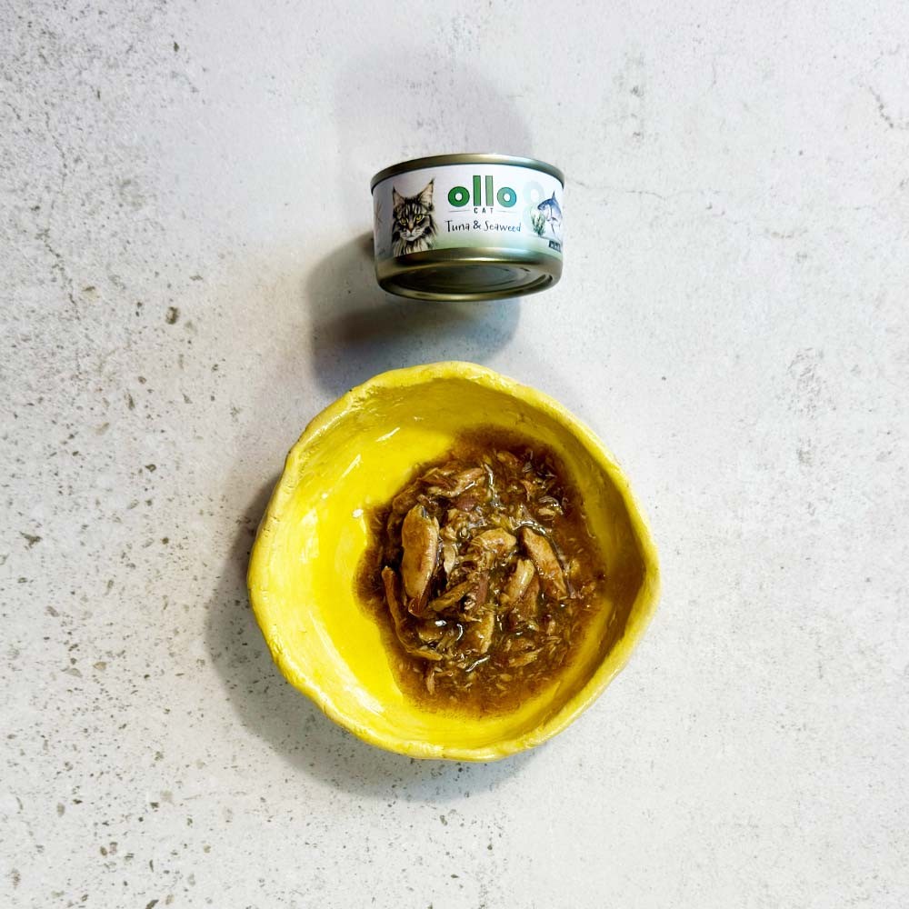 ollo dla kota 8.jpg
