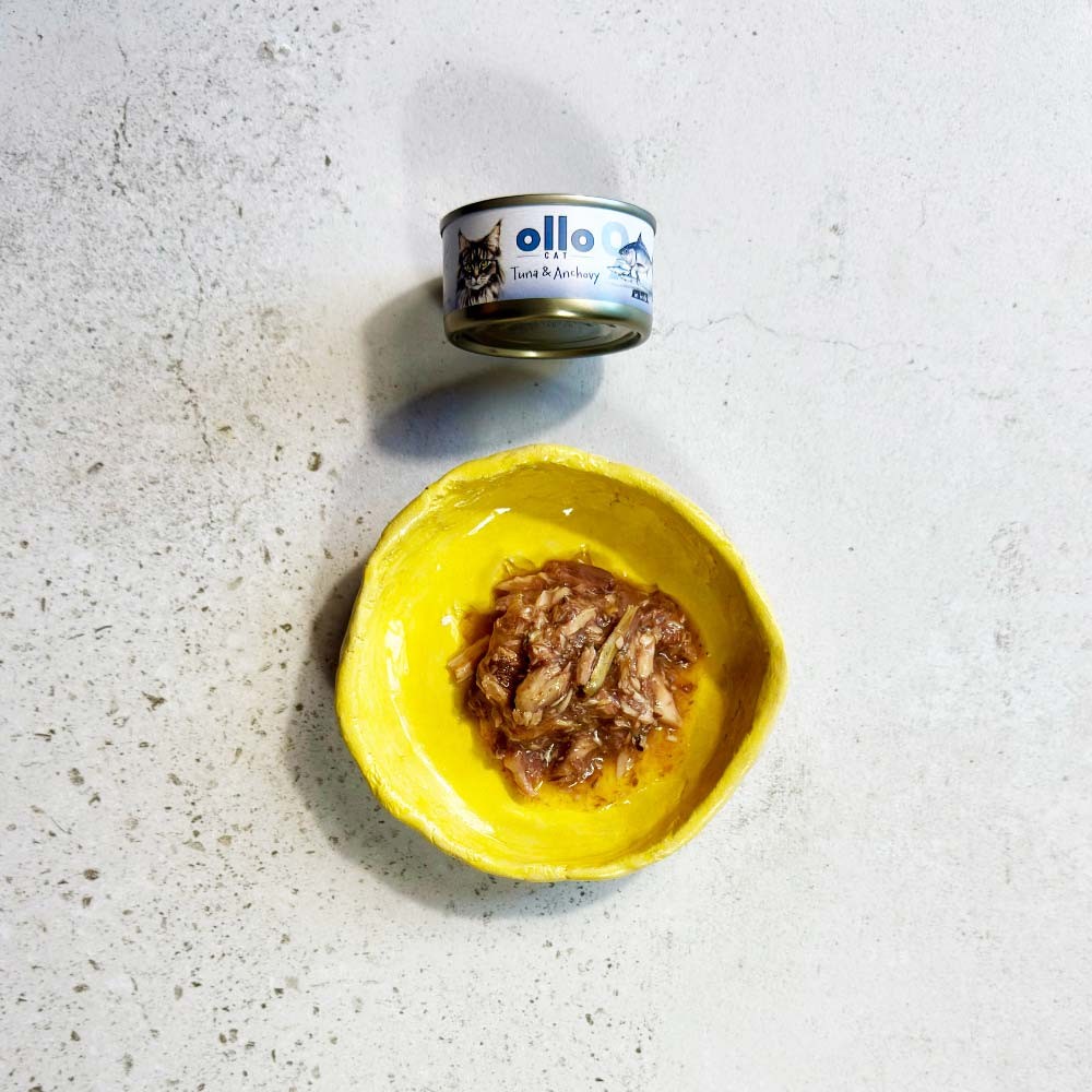 ollo dla kota 9 tuńczyk i anchois.jpg