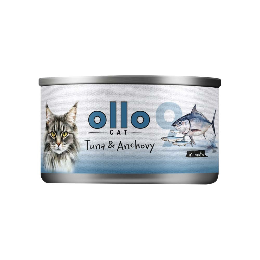 tuńczyk i anchois ollo