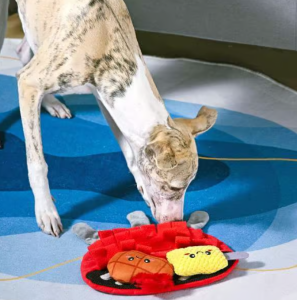 hugsmart mata węchowa