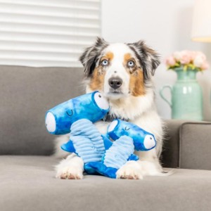 zabawka dla psa z piszczałkami.jpg