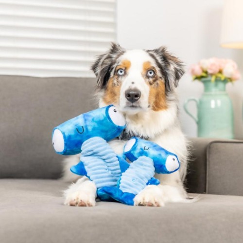 zabawka dla psa z piszczałkami.jpg