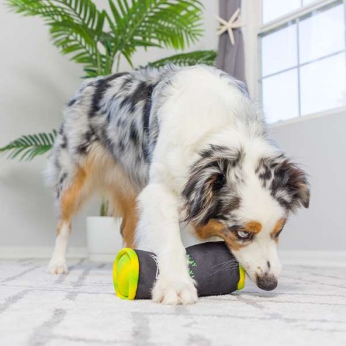 zabawka dla psa puszka.jpg