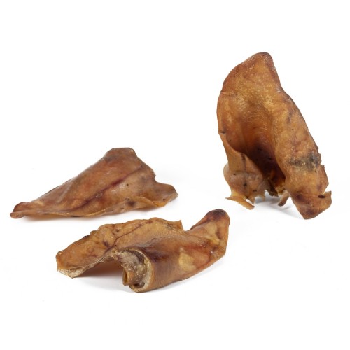 ucho wieprzowe xxl.jpg