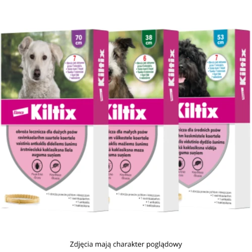 Kiltix dla psa.webp