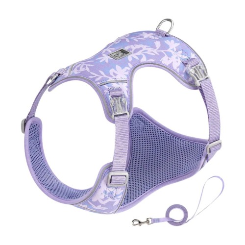 szelki dla psa fioletowe.jpg