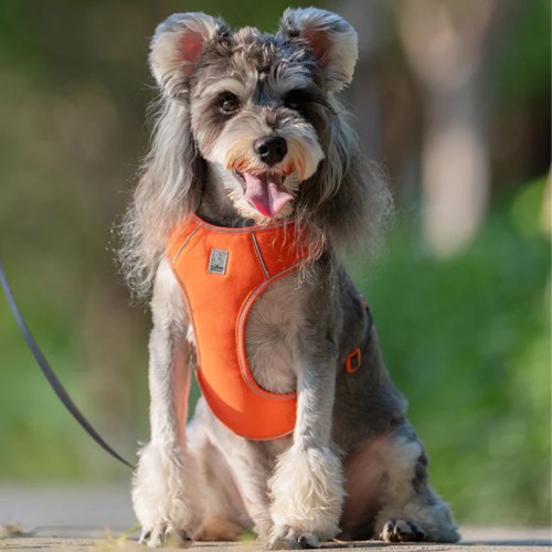 pomarańczowe szelki bezuciskowe.jpg