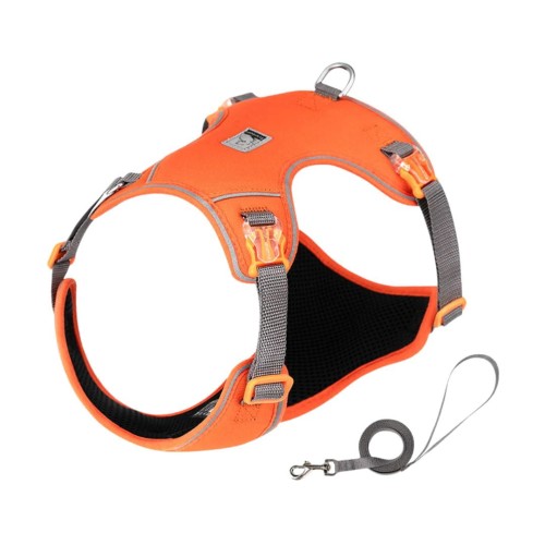 szelki dla malutkich psów.jpg