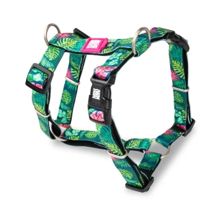 Max&Molly szelki tropical.webp