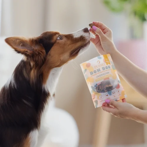 perro przysmaki dla psa z jagnięciny.webp