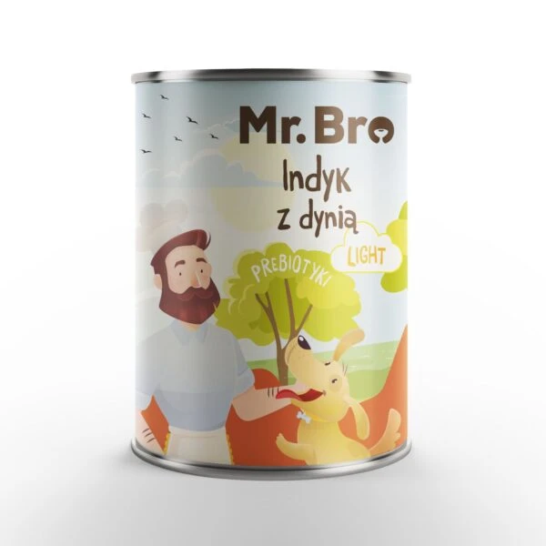 mr bro light indyk.jpg