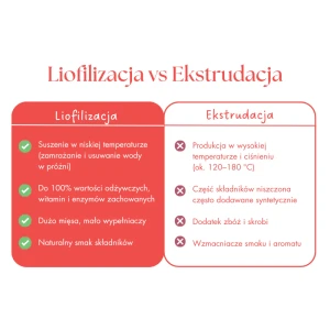 liofilizacja.webp