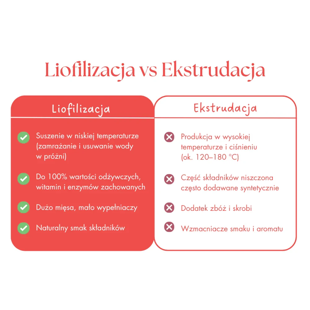 liofilizacja.webp