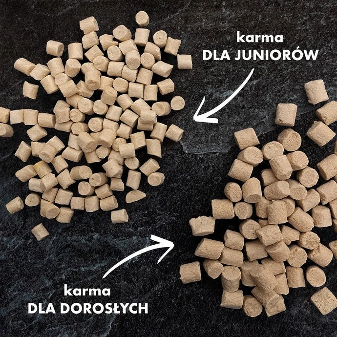 karma liofilizowana.jpg