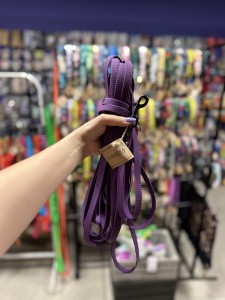 IMG_3751.jpeg