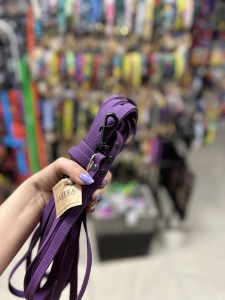 IMG_3753.jpeg