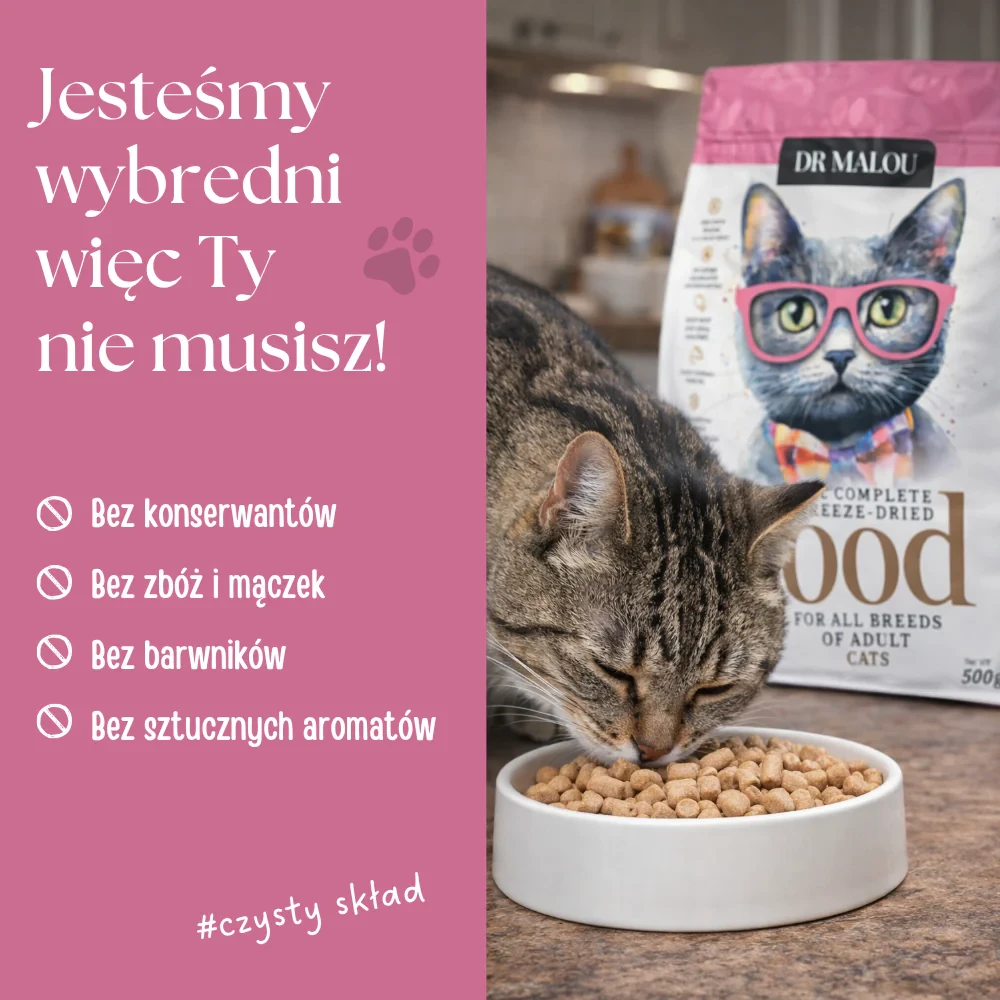 sucha karma dla kota liofilizowana.webp