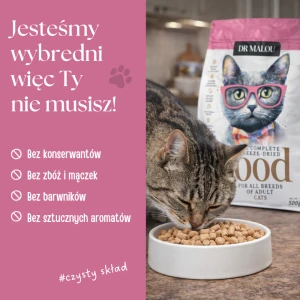 sucha karma dla kota liofilizowana.webp