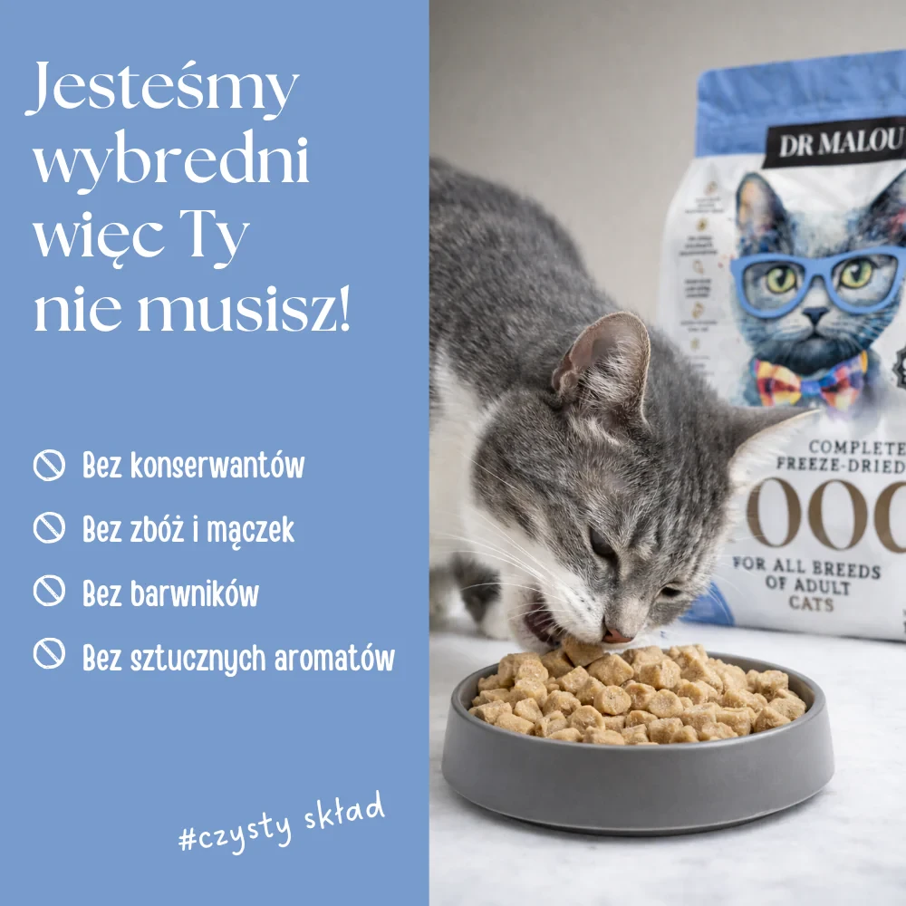 Kaczka z jagnięciną dla kota.webp