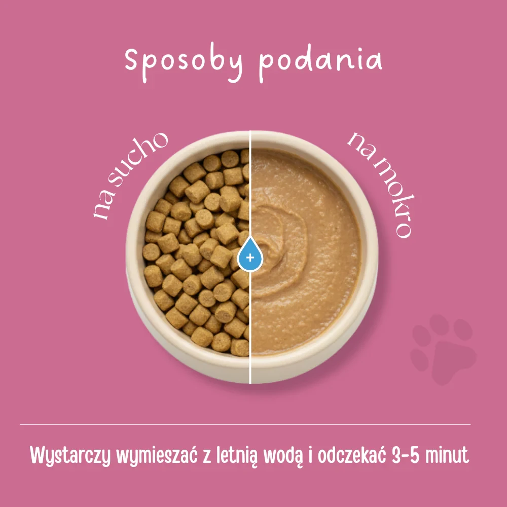 liofilizowana karma dla kota.webp